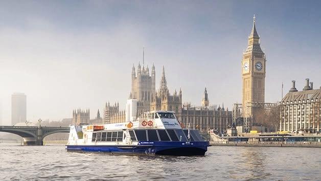 Lunch Cruise on the Thames - Daily