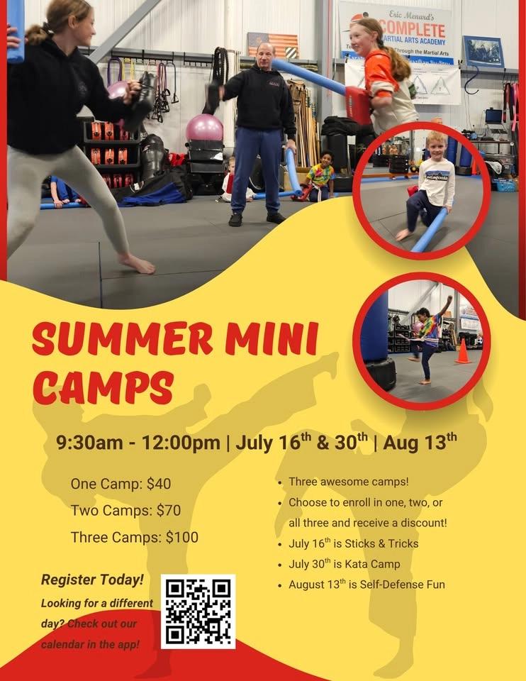 Mini-Camp Series