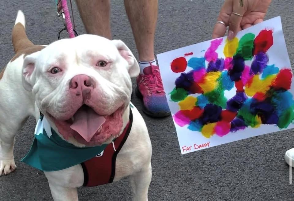 Pop PUPmuseum