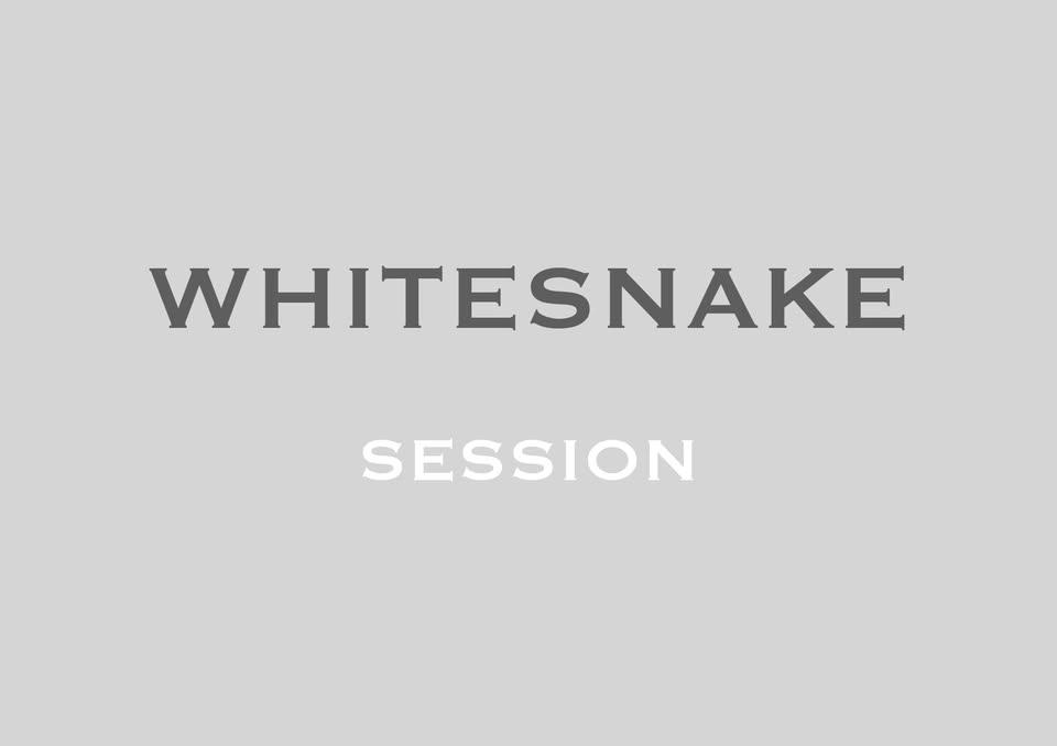8/22 WHITESNAKE ☆ セッション🐍