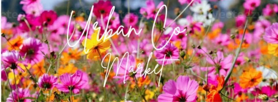 Urban Co. Markets