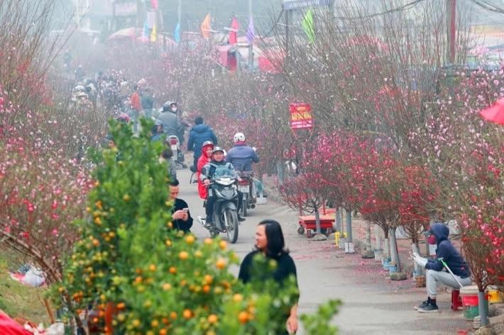 Về Quê Ăn Tết Đinh Mùi 2027