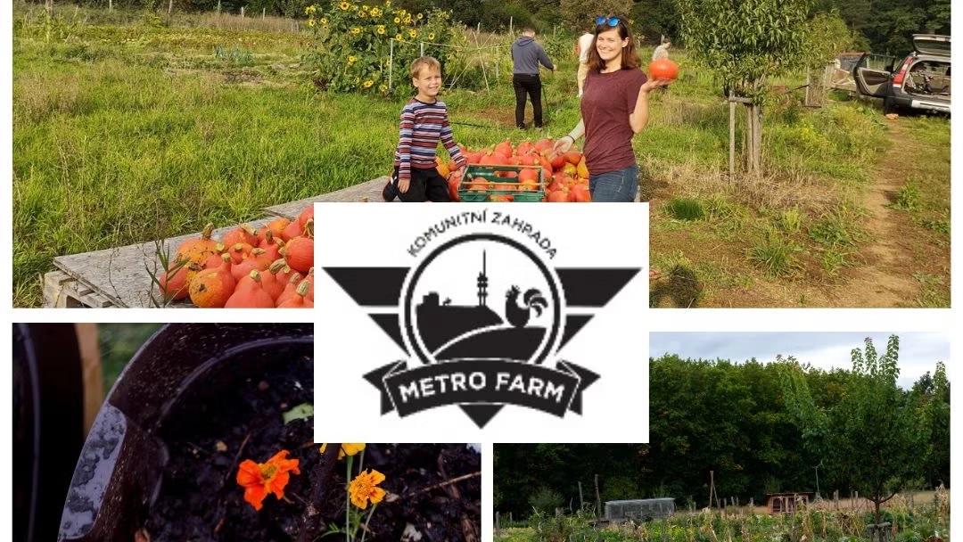 Gardening on an island urban farm