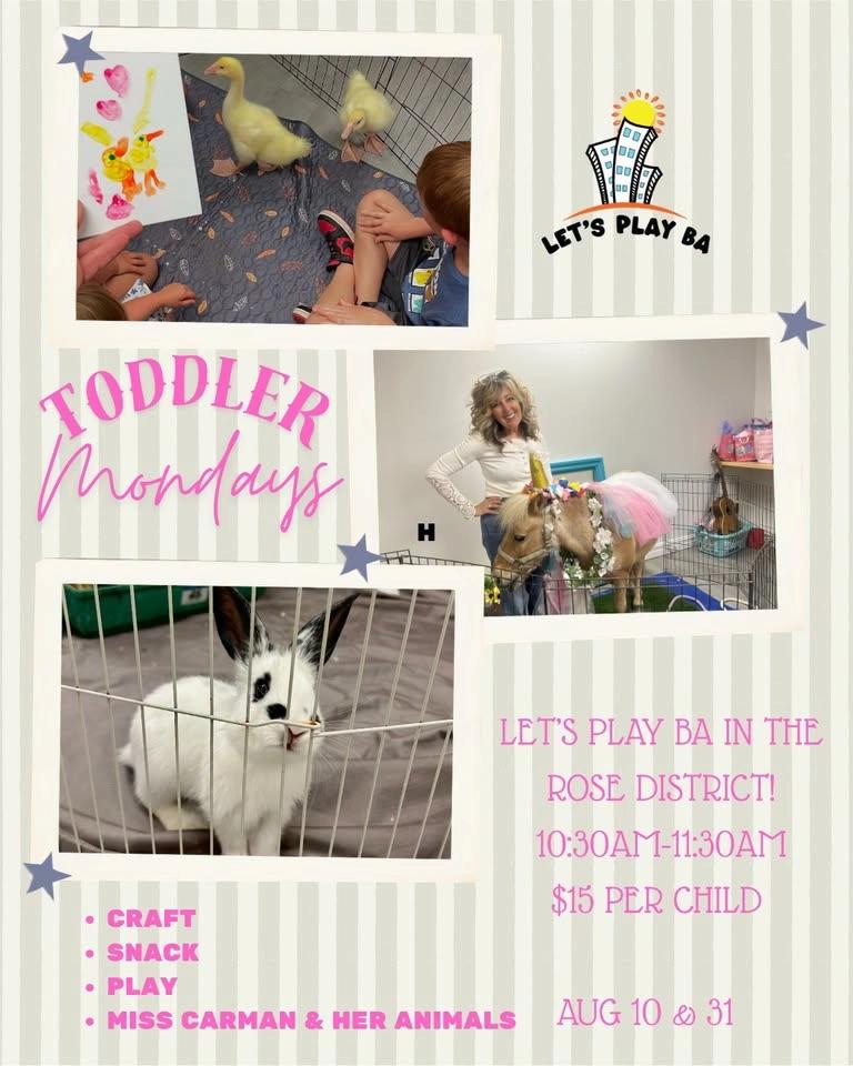 🩷✨Toddler Monday LPBA✨🩷