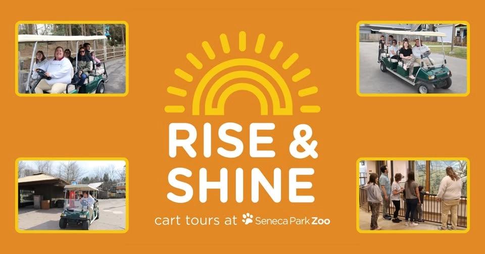 Rise and Shine Cart Tours