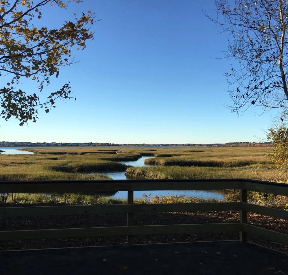 Estuary Discoveries