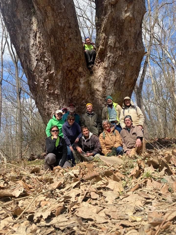 America 250-OH: River Walk to the Giant Sycamore (hike in the river)