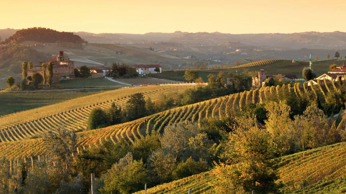 Vajra vine fra Pimontes fortryllende terroir
