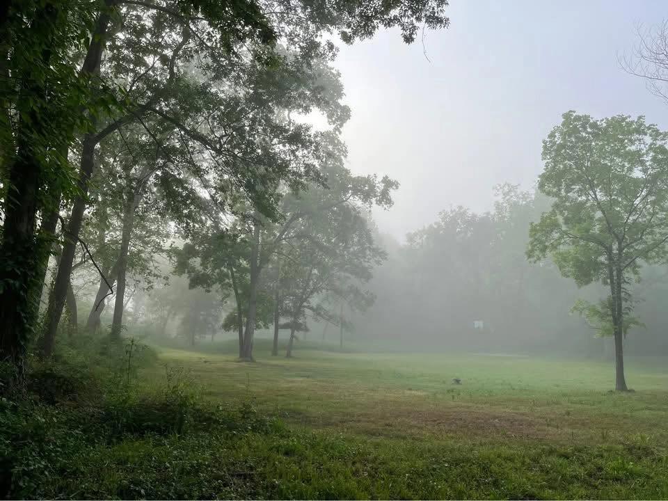 Fridays at Rose Creek Park