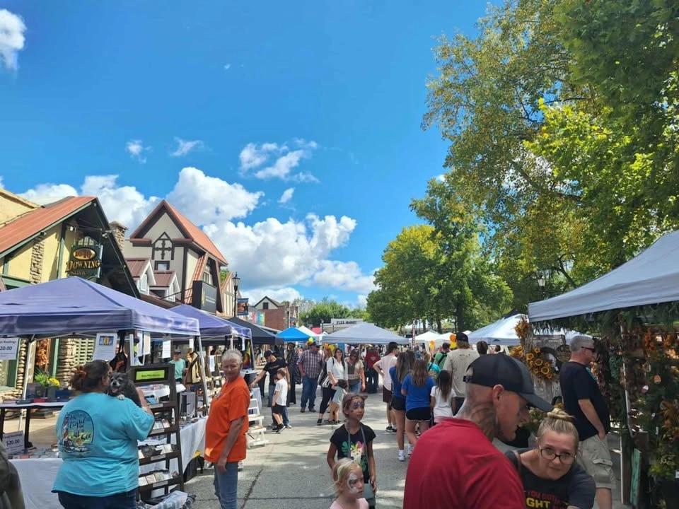 StateoftheOzarks Fest