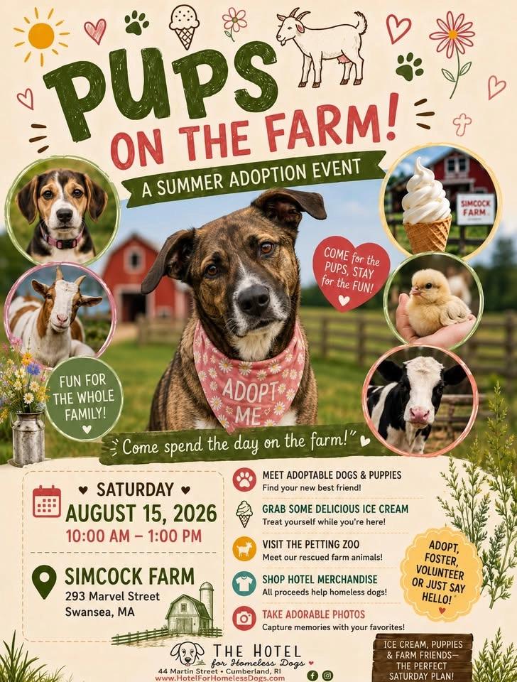 Hotel for Homeless Dogs Adoption Event