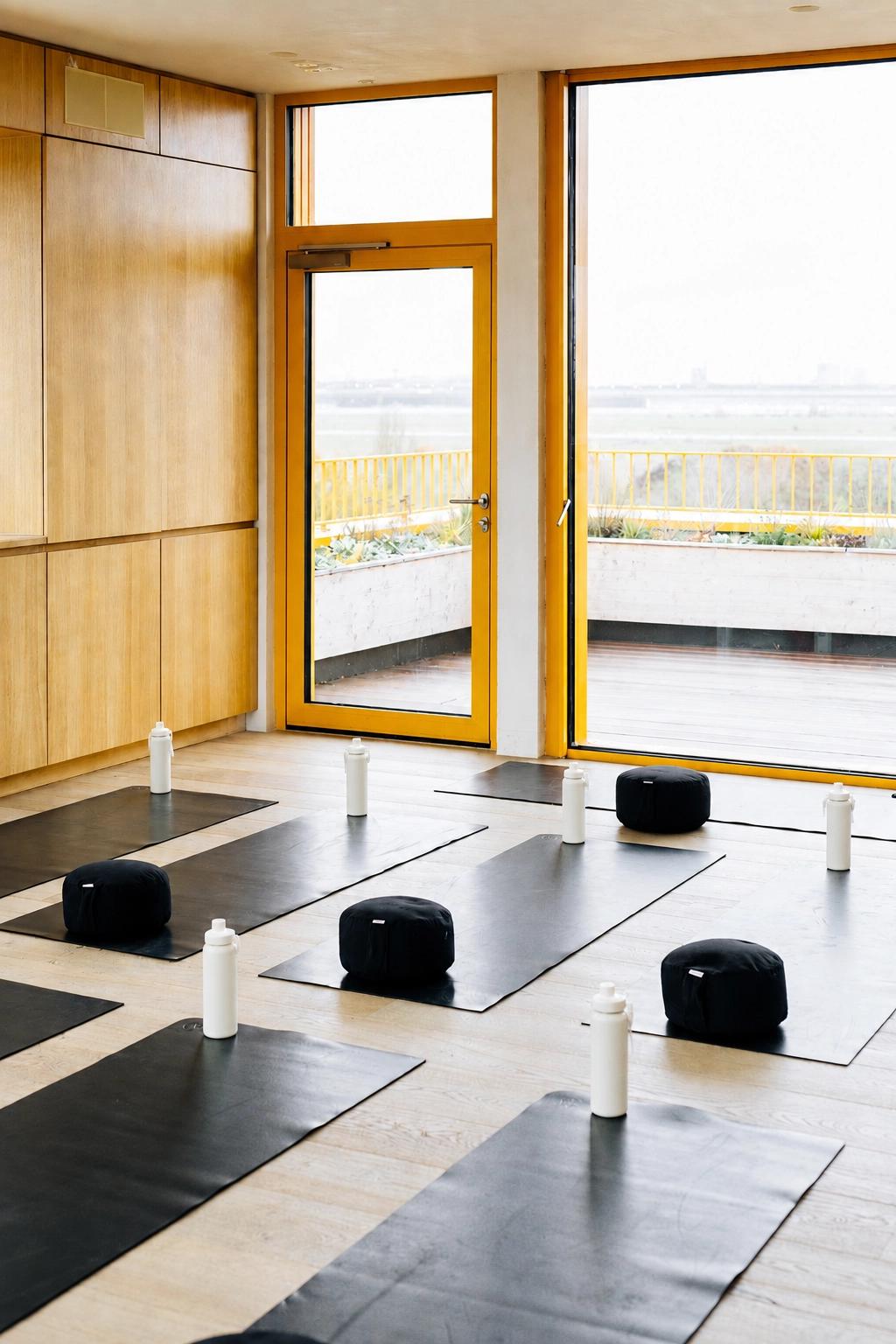 Meditation & Gentle Movement
