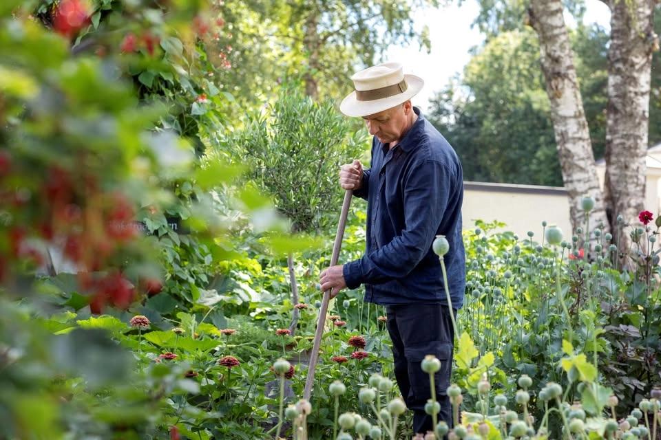 Trädgårdsvandring med vår trädgårdsmästare alla tisdagar och torsdagar i sommar