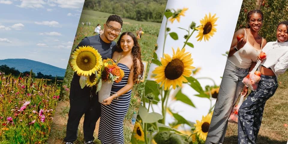 2026 Flower Festival at Summers Farm!