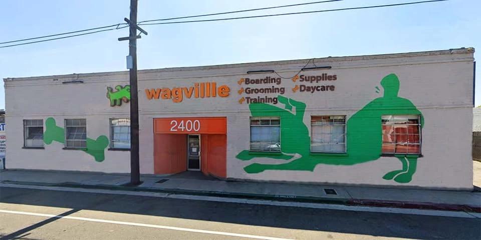 L.A. (Northeast) - Dog dental cleaning