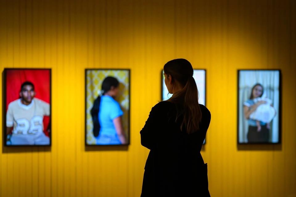 Daily guided tours: Democracy on the Brink