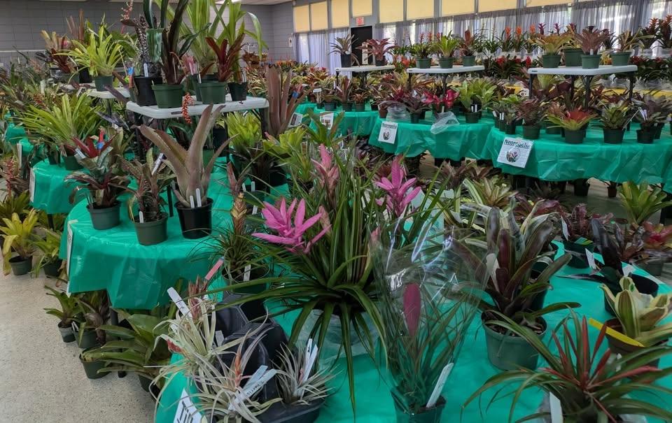 Annual Fall Plant Sale