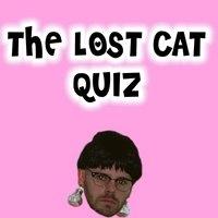 The Lost Cat Quiz