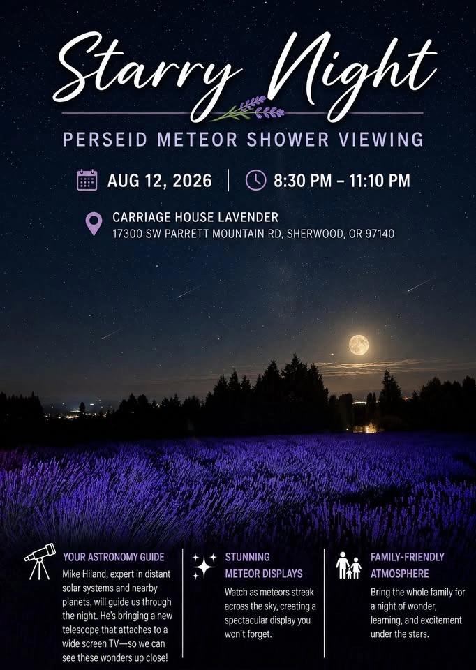 Starry Night
