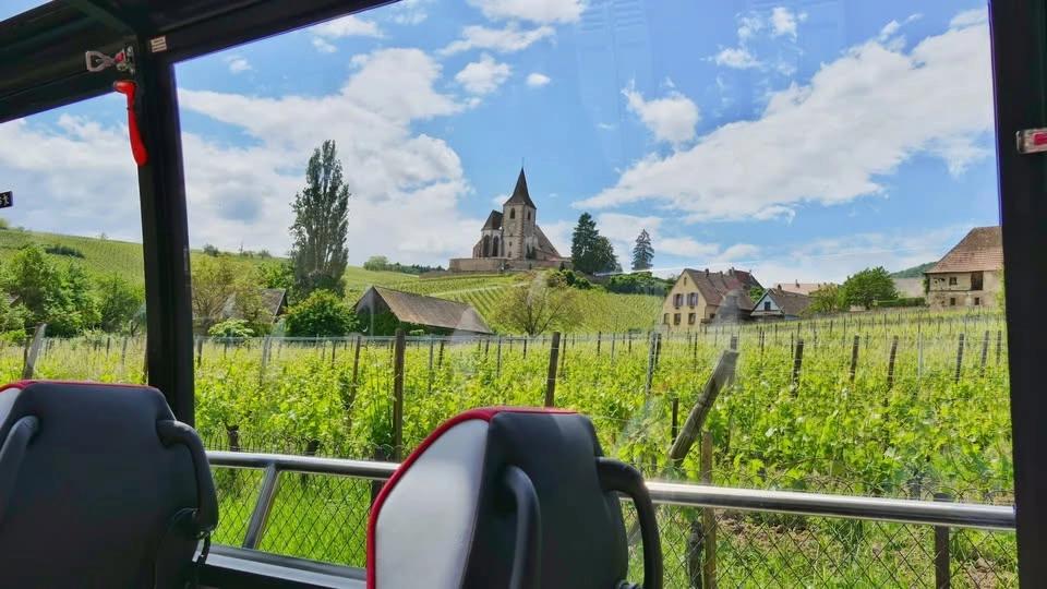 Strasbourg: Medieval Villages Day Trip w/Wine