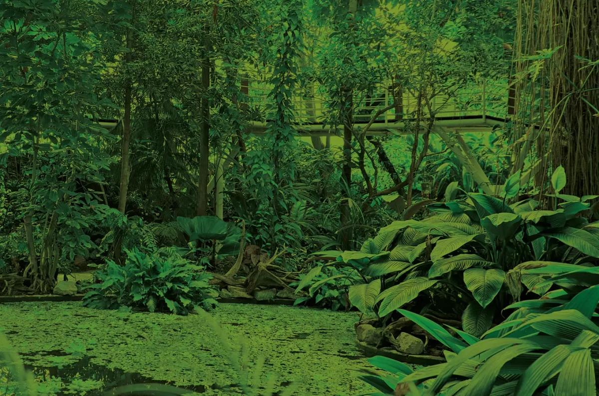 Z lázní do džungle – prohlídky Botanické zahrady Teplice bez objednání