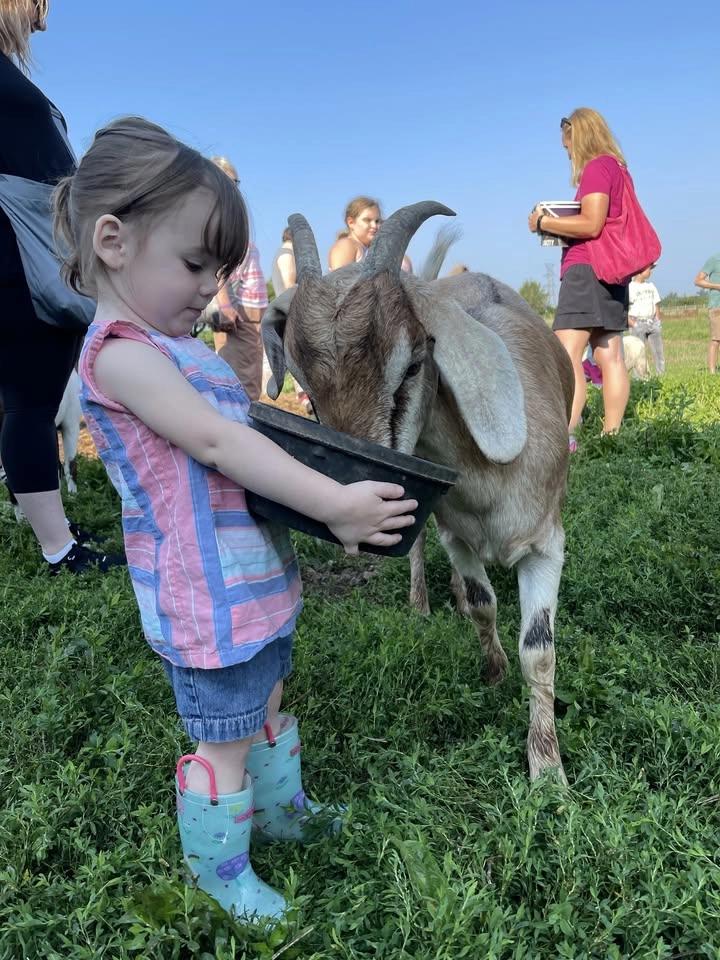 Blackacre Saturday Morning Farm Animal Feeding