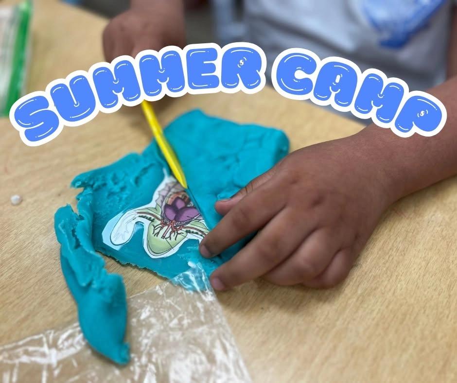 Catalillies Play Cafe Summer Camp