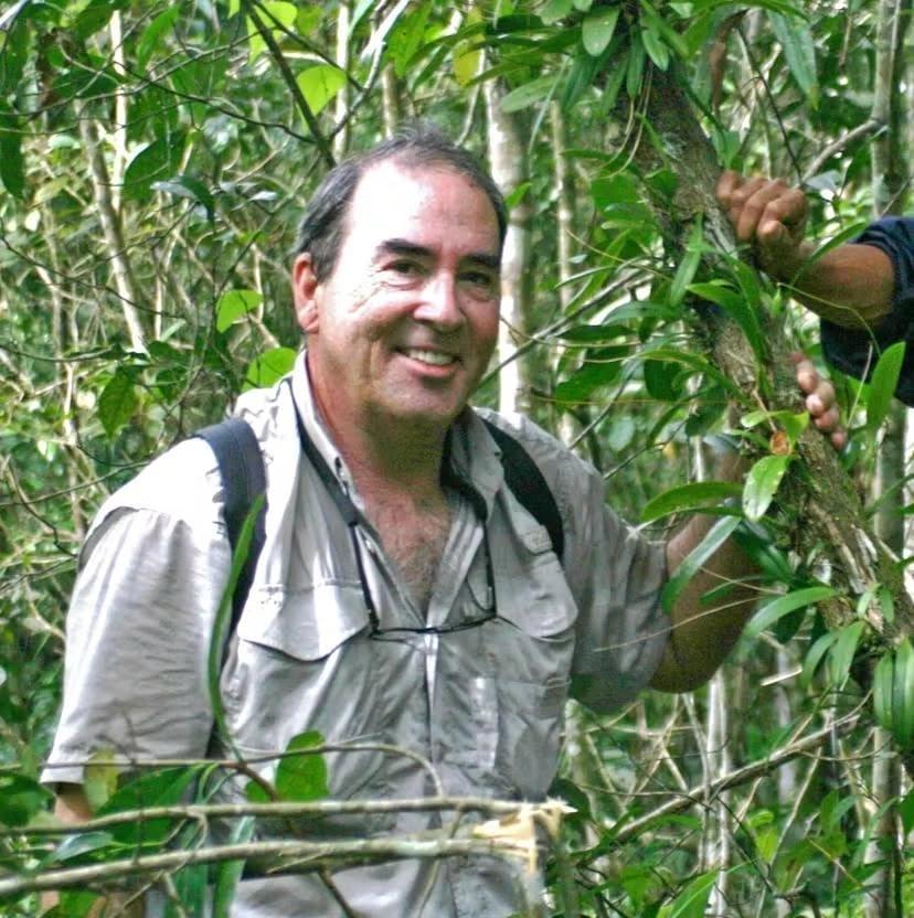 Bulbophyllums Demystified