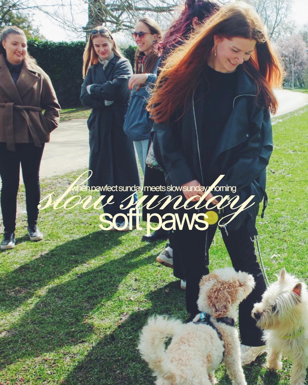 Slow Sunday Morning Walk