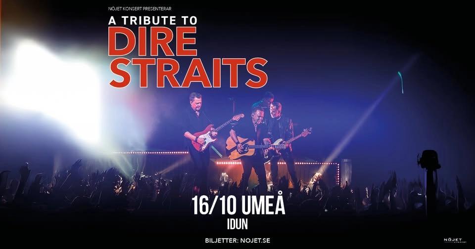 A Tribute to Dire Straits I Umeå, Idun