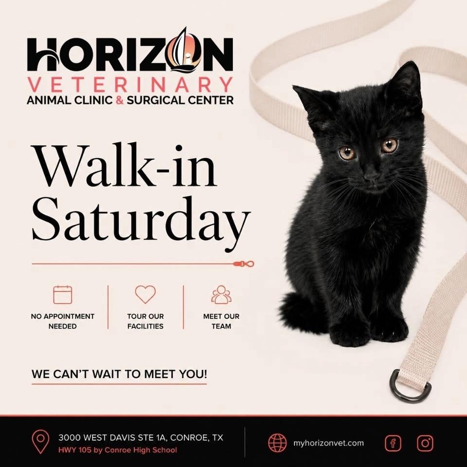 Walk-In Saturday