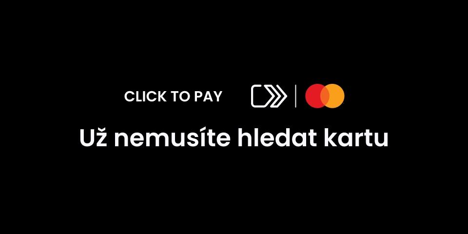 Click to Pay Priceless Experience