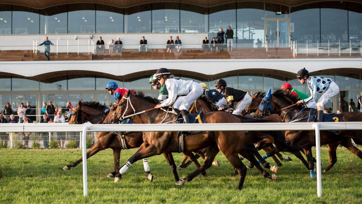 Kvällsgalopp på Bro Park