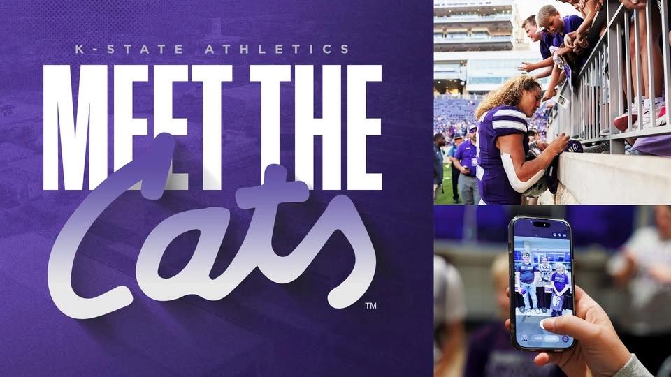 Meet The Cats 2026