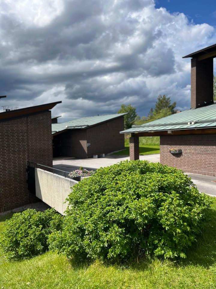 Sommaröppet: Birgittagården