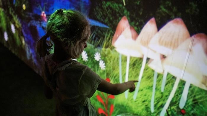 Family work shop: Primeval forest