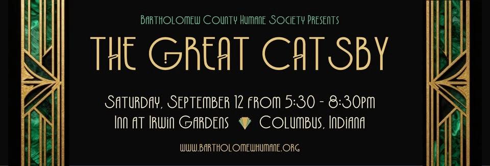 The Great Catsby