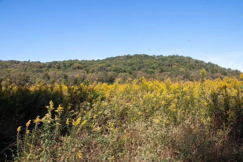 Prairie Hike Series