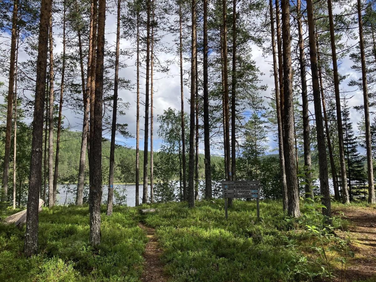 Vandra med naturum i Helvetesbrännan