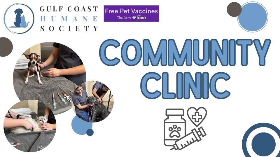 Community Clinic🐾💉 | Gulf Coast Humane Society