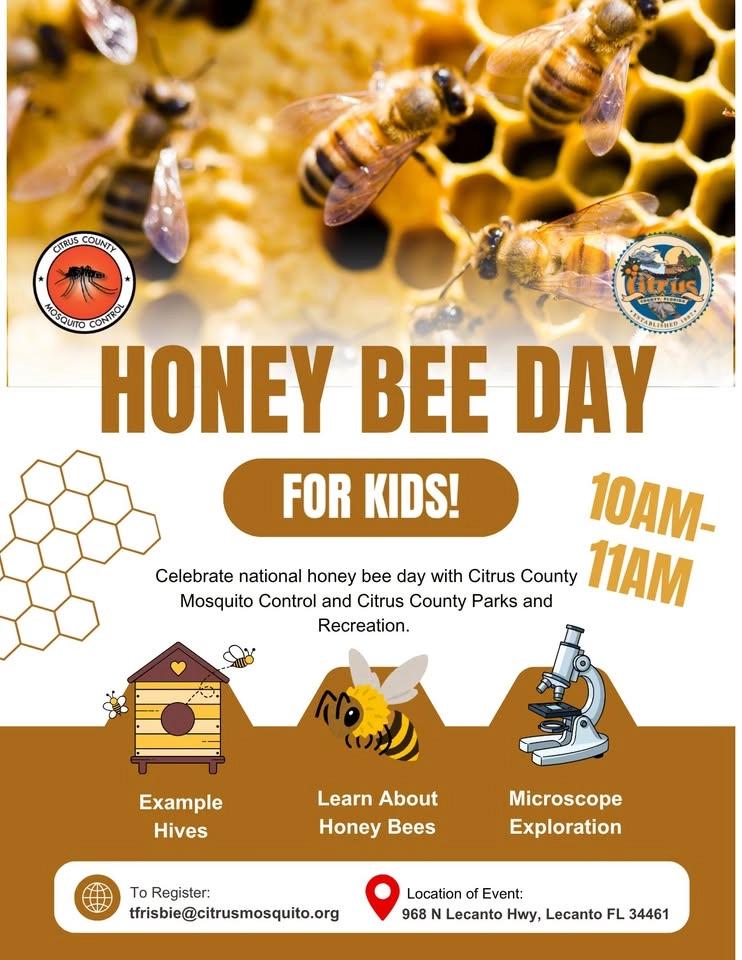 Honey Bee Day for Kids