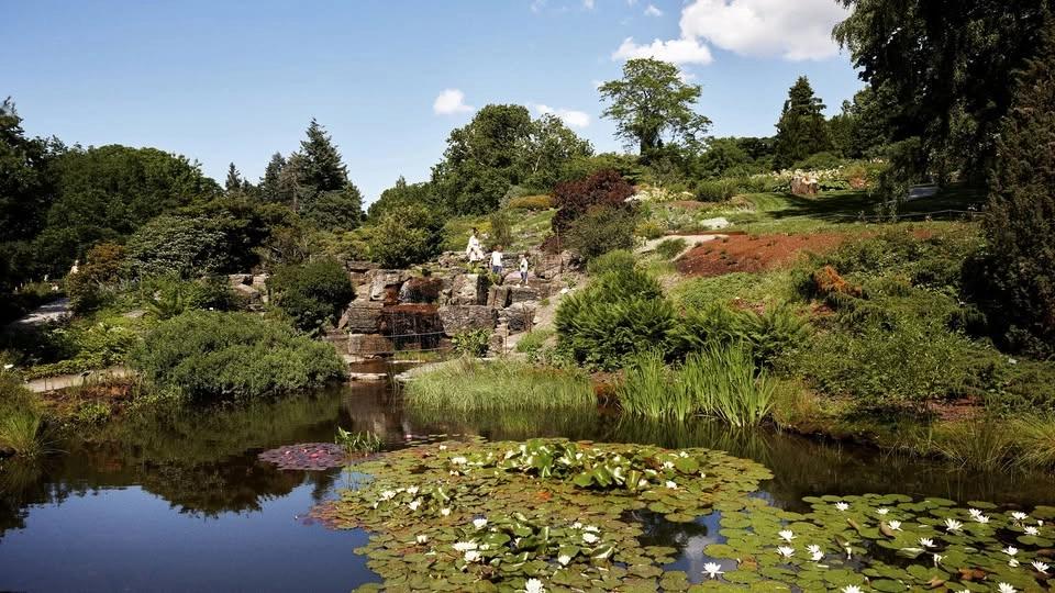 Guided tour of the Botanical Garden