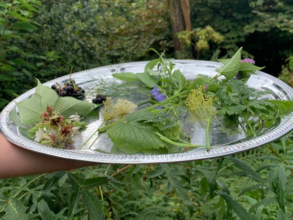 Thee in de tuin - Groengids wandeling met proeverij