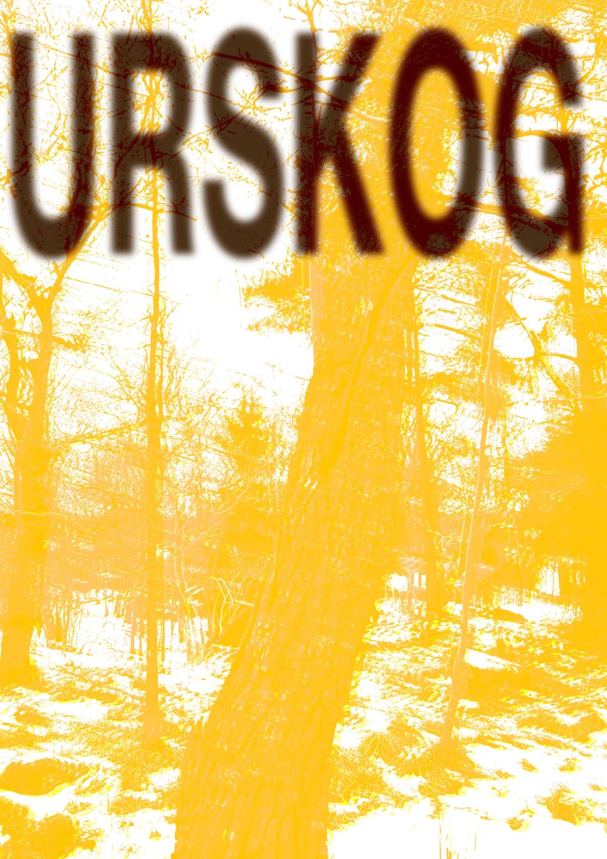 Sommarutställning: Urskog