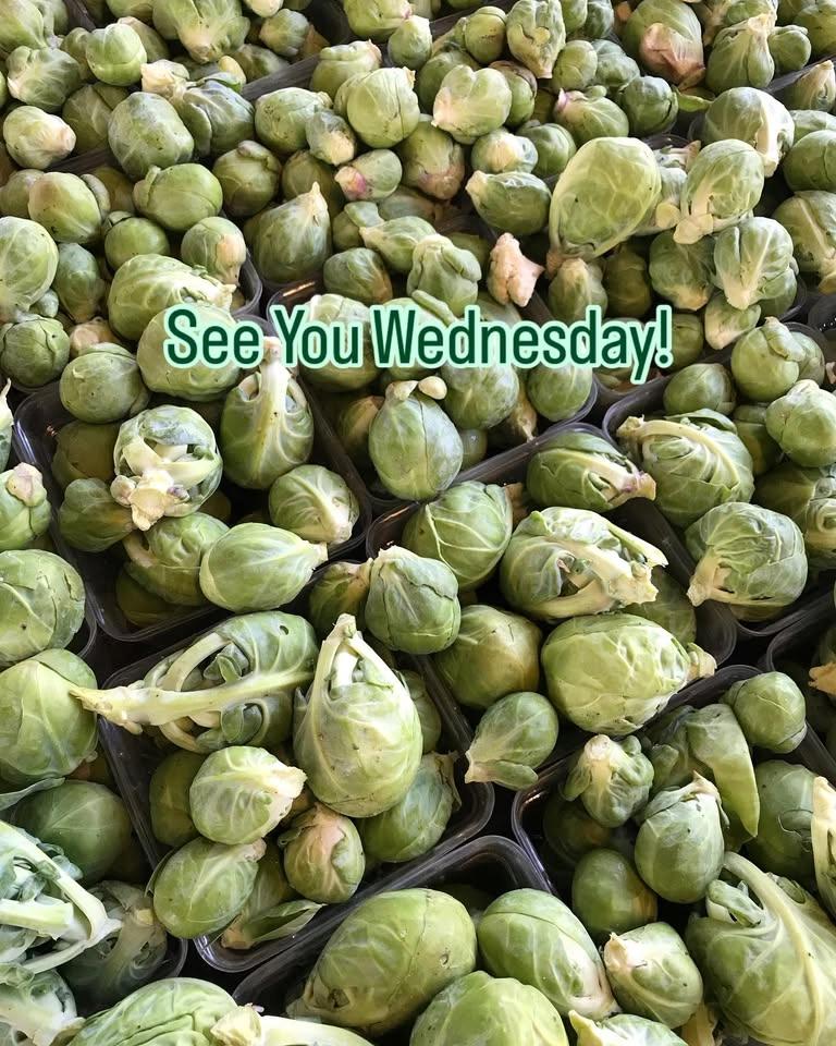 Wednesday Farmers Market