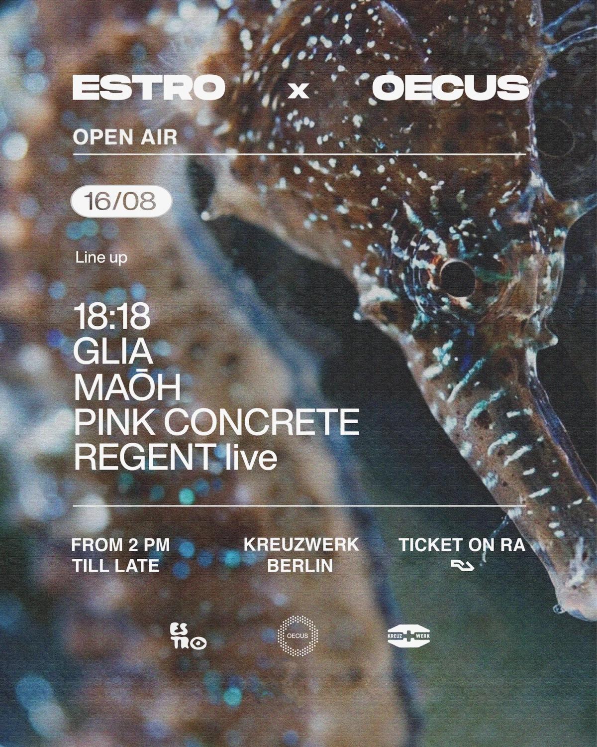 ESTRO x OECUS Open Air