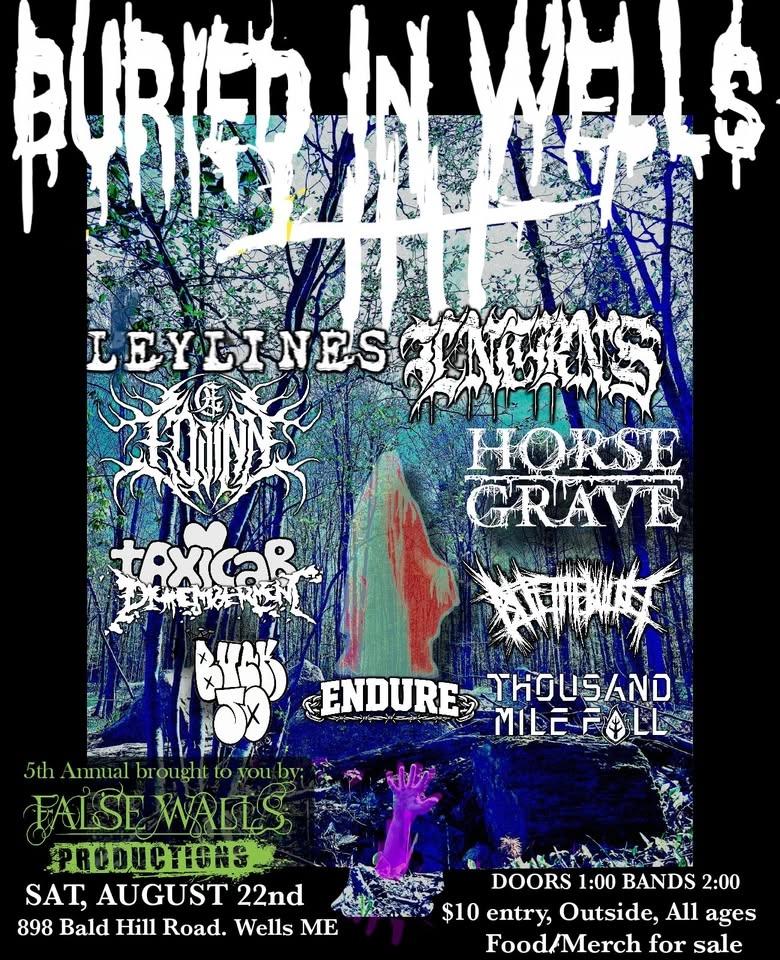 Buried in Wells Five