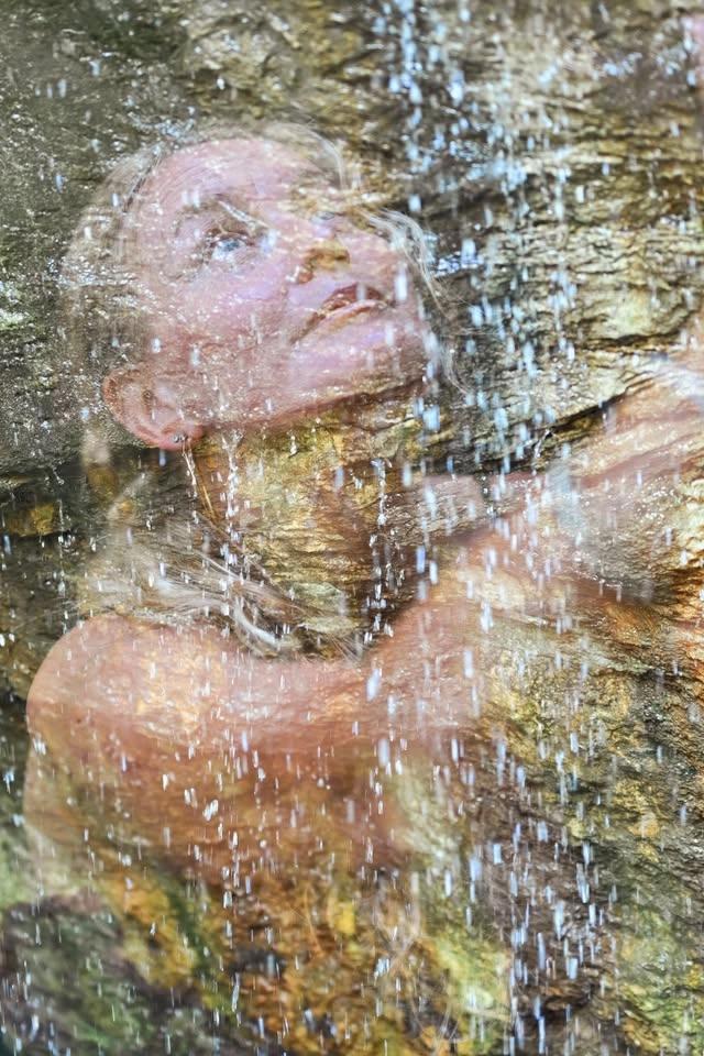 SKOGSYOGA & ELEMENTIFIERING - heldag i naturnärvaro kring Odensjön