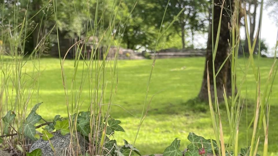 Ekumenisk gudstjänst i Härlanda kyrkoruin