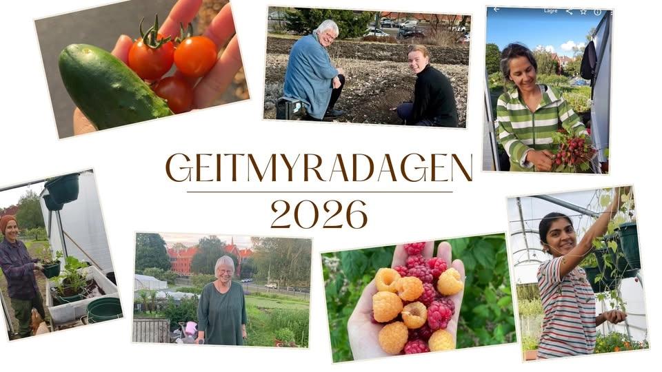 Geitmyradagen 2026